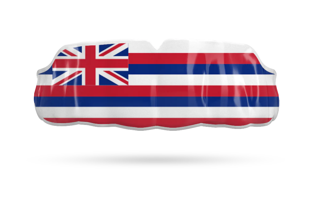 Hawaii State Flag
