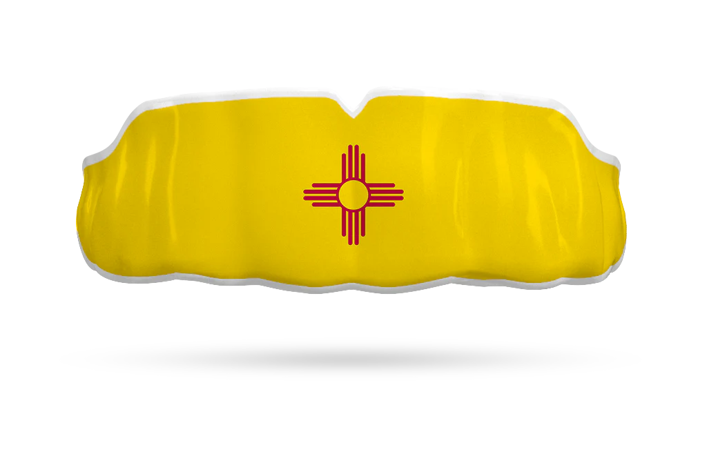 New Mexico State Flag