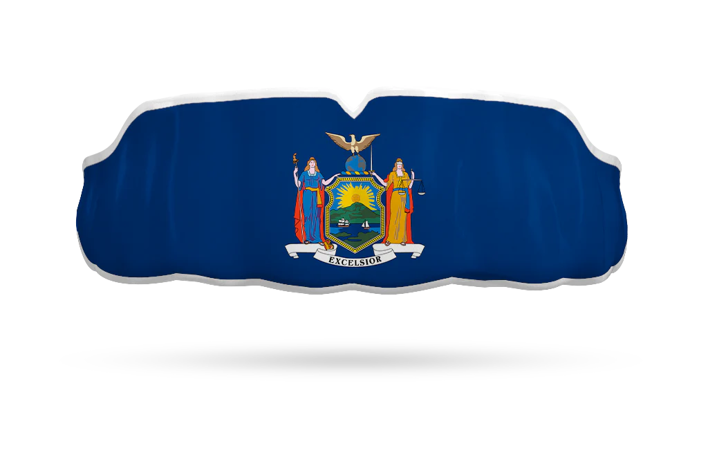 New York State Flag