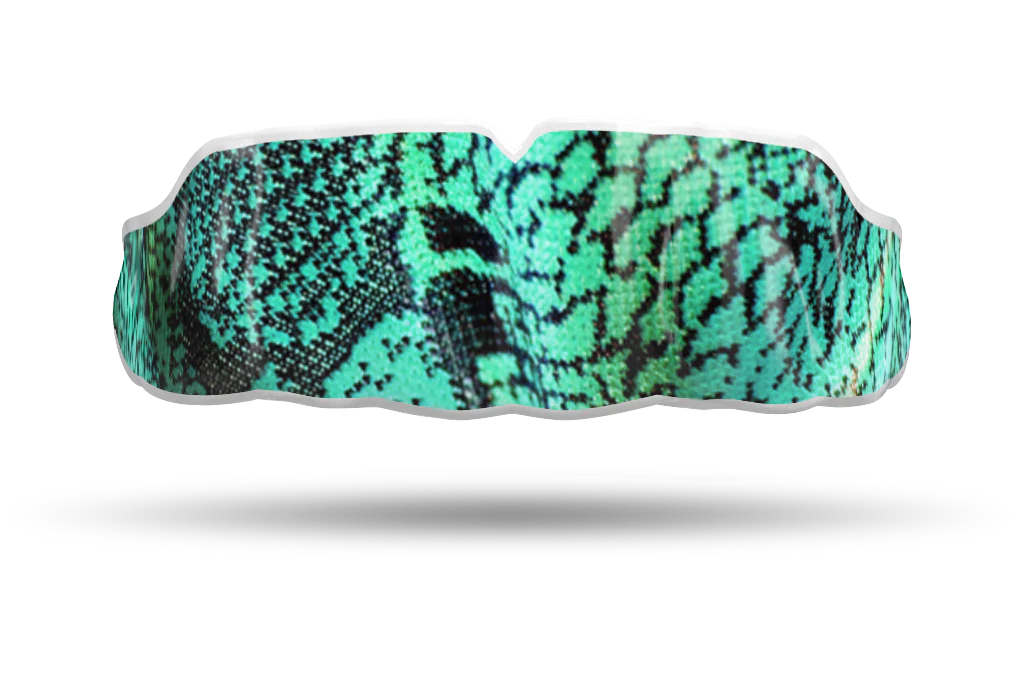 Teal Snake